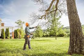 Milton, WI Tree Removal and Landscaping Services Company